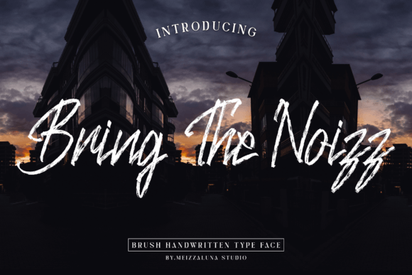 Bring the Noizz Font for Web Design