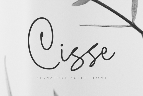 Cisse Font: Elegant Script for Creative Projects