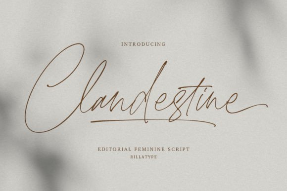 Clandestine Font: Elegant Script for Web Design