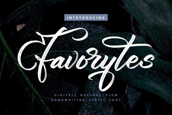Favorytes Font: Elegant Script for Editorial Design