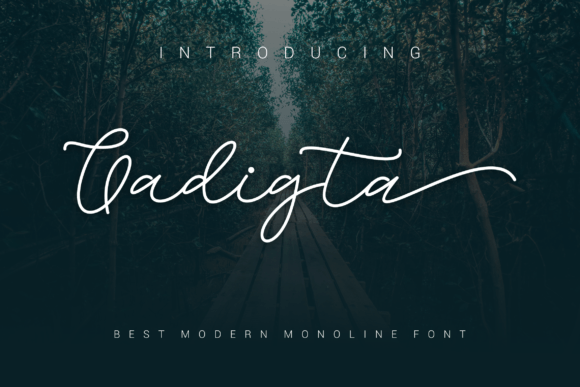Gadigta Font for Bold Web Design