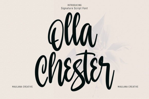 Olla Chester Font for Creative Makers