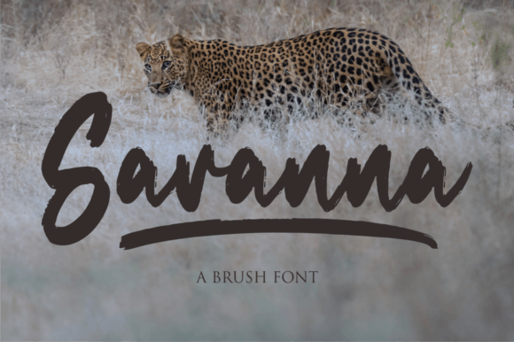 Savanna: A Brush Script Font